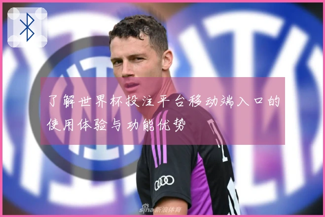 了解世界杯投注平台移动端入口的使用体验与功能优势