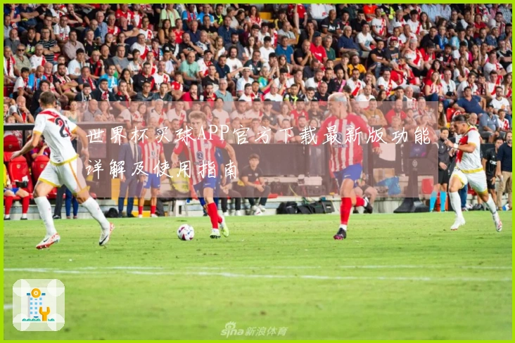世界杯买球APP官方下载最新版功能详解及使用指南