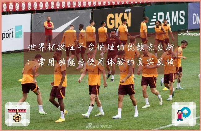 世界杯投注平台地址的优缺点分析：常用功能与使用体验的真实反馈