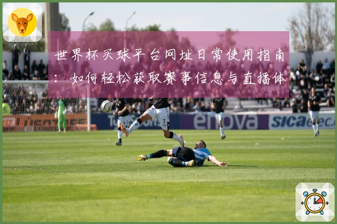 世界杯买球平台网址日常使用指南：如何轻松获取赛事信息与直播体验