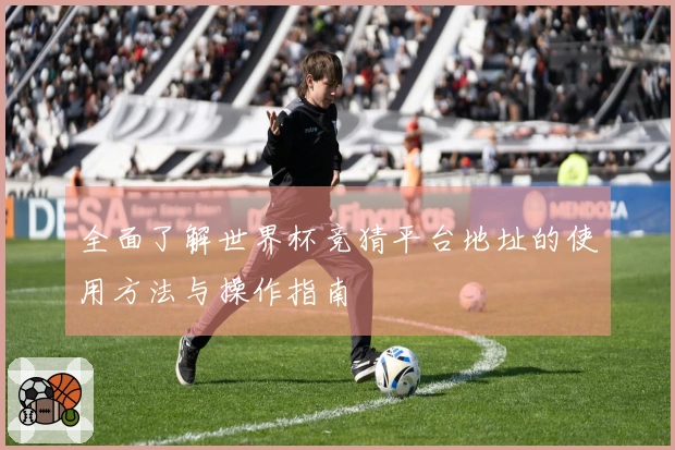 全面了解世界杯竞猜平台地址的使用方法与操作指南