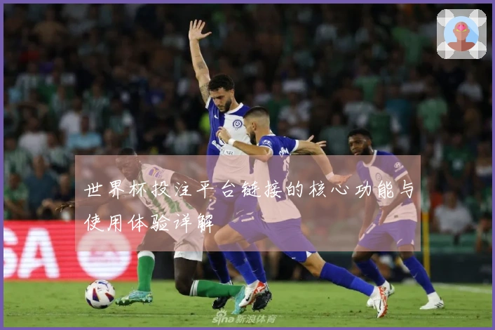 世界杯投注平台链接的核心功能与使用体验详解