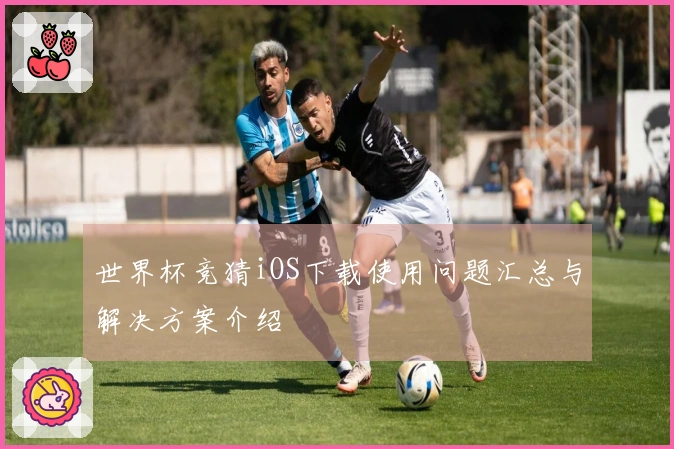 世界杯竞猜iOS下载使用问题汇总与解决方案介绍