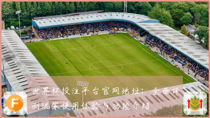 世界杯投注平台官网地址：全面评测玩家使用体验与功能介绍
