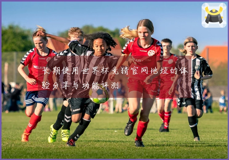 长期使用世界杯竞猜官网地址的体验分享与功能评测