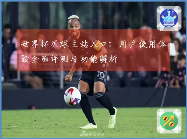 世界杯买球主站入口：用户使用体验全面评测与功能解析