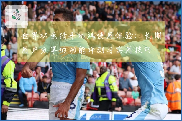 世界杯竞猜手机端使用体验：长期用户分享的功能评测与实用技巧