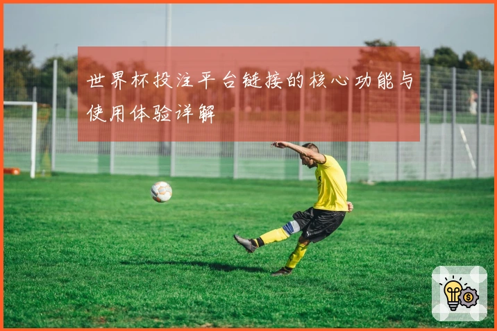 世界杯投注平台链接的核心功能与使用体验详解