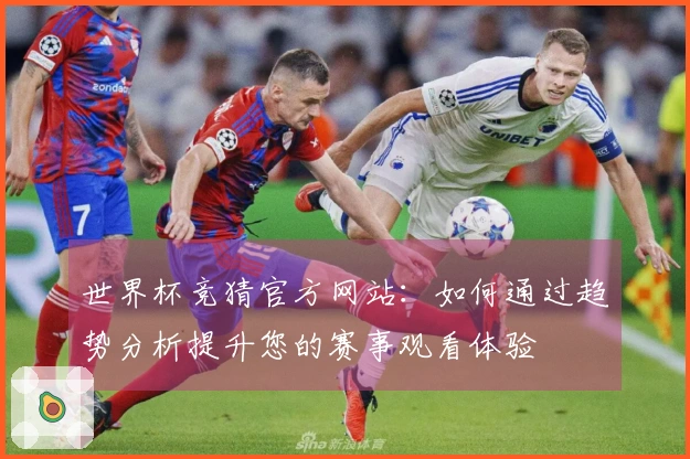 世界杯竞猜官方网站：如何通过趋势分析提升您的赛事观看体验