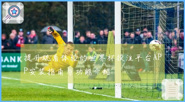 提升观看体验的世界杯投注平台APP安装指南与功能介绍